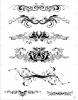 WATER BODY TRANSFER TATTOOS  ( WT-0013 )