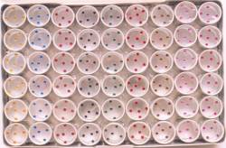 BOX BINDI  ( BB-002 )