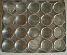 BOX BINDI  ( BB-005 )