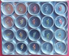 BOX BINDI  ( BB-007 )