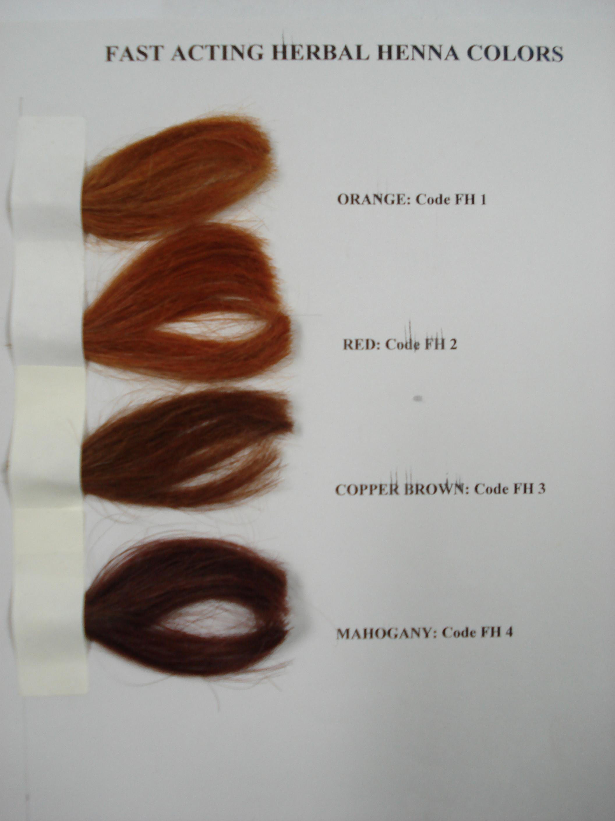 FAST ACTIVE Natural Henna Herbal Hair Color