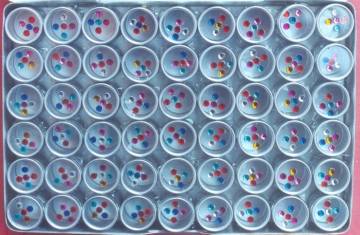 BOX BINDI ( BB-001 )