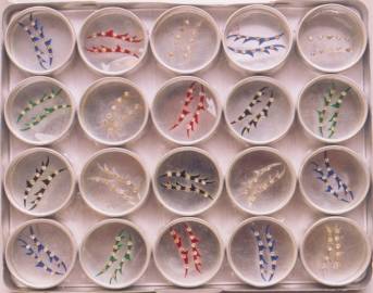 BOX BINDI ( BB-006 )